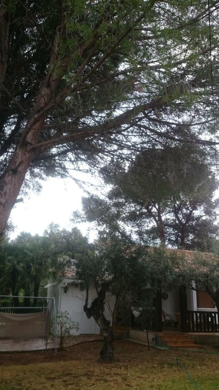 Villa Chabola Дения Екстериор снимка